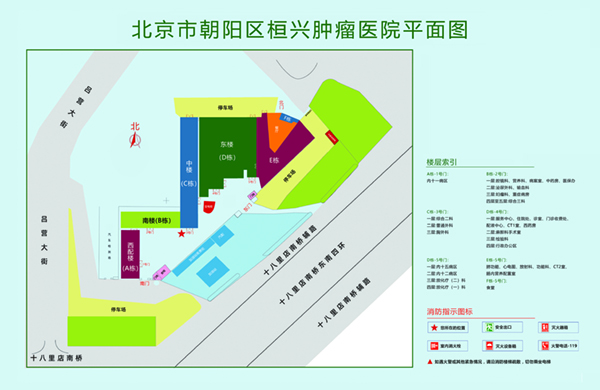 抽插舔吸在线视频北京市朝阳区桓兴肿瘤医院平面图